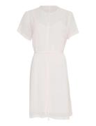 Mschcherlyn Ss Dress Pink MSCH Copenhagen