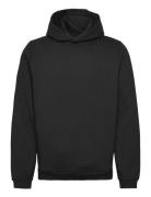 Logo Brushback Pullover Hoodie Black Lyle & Scott