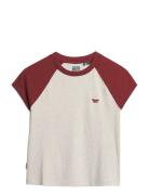 Essential Logo Raglan Slub Tee Grey Superdry