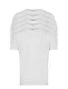 5 Pack T-Shirts White Denim Project
