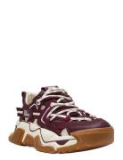 Kingdom 2.0 Burgundy Steve Madden