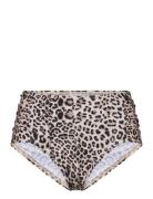 Leopard Olympia Btm Brown Panos Emporio