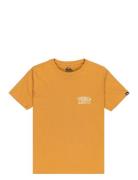 Hw Snaky Ways Ss Youth Orange Quiksilver