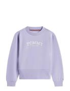 High Rib Hem Crew Neck Purple Tommy Hilfiger