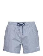 Velvetfish Patterned BOSS