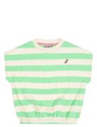 Tnd Colatina Green TUMBLE 'N DRY