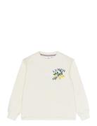 Tnsafina Sweatshirt Cream The New