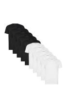 Dp 10 Pack T-Shirt White Denim Project