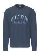 Ls Premium Terry Calvin Collegia Navy Calvin Klein Jeans