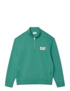 Ls Eu 350Terry Collegiate Badge Green Calvin Klein Jeans