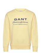 Spray Graphic C-Neck Yellow GANT