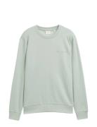 Printed Crew Neck Sweater Green Tom Tailor