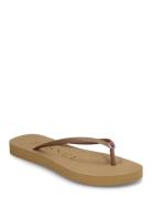 Vivi Flip Flop Beige BUSNEL