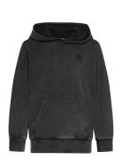 Hooded Sweatshirt Grey Champion