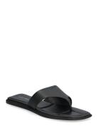 Flat Sandal Thong Lth Black Calvin Klein