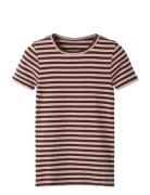 Nkfsuraja Xsl Ss Top Noos Brown Name It