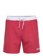 Starfish Red BOSS