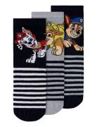 Nmmmalbi Paw 3P Sock Cplg Navy Name It