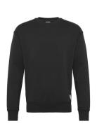 Sdlenz Crew Sw Black Solid