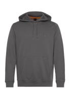 Wetalk Grey BOSS