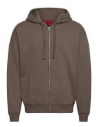 Dapozip Brown HUGO