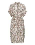 Frariana Dr 19 Brown Fransa