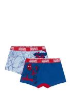 Boxer Blue Marvel