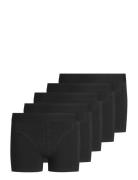 Jacsimple Trunks 5 Pack Jnr Noos Black Jack & J S