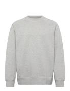 Wwhester Sweatshirt 25217 Grey WOOD WOOD