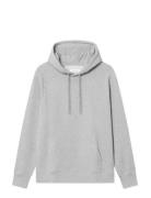 Wwfred Hoodie 25217 Grey WOOD WOOD