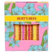 Burt's Bees Lip Balm 4 Pack In Full Bloom