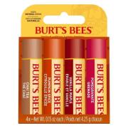 Burt's Bees Fall Limited Edition Blister 4 kpl