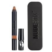 NUDESTIX Matte Magnetic Eye 2,8 g – Terra