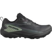 Salomon Men's Genesis GORE-TEX Black/Agave Green/Urban Chic