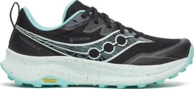 Saucony Women's Peregrine 16 GORE-TEX Black/aqua