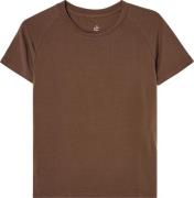 Isbjörn of Sweden Teens' Wild Peak Tee Chocolate