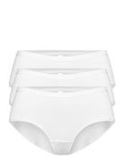 Brief 3 Pack Carin Regular Alushousut Brief Tangat White Lindex