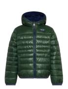 Levi's® Sherpa Lined Puffer Jacket Toppatakki Green Levi's