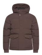 Jjdavid Puffer Jacket Vuorillinen Takki Topattu Takki Brown Jack & J S