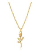 Men's Rose Pendant Necklace 3Mm Chain Kaulakoru Korut Gold Nialaya