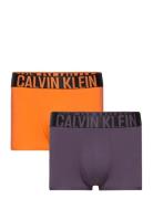 Trunk 2Pk Bokserit Orange Calvin Klein