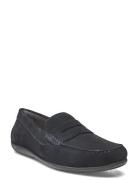 U Ascanio C Loaferit Matalat Kengät Navy GEOX