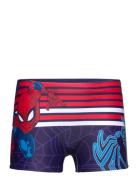 Swimsuit Uimashortsit Navy Spider-man