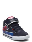 B Kilwi Boy Matalavartiset Sneakerit Tennarit Navy GEOX