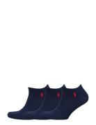 Low-Cut Sock 3-Pack Nilkkasukat Lyhytvartiset Sukat Blue Polo Ralph La...