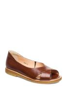 Sandals - Flat - Open Toe - Clo Matalapohjaiset Sandaalit Brown ANGULU...