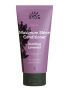 Maximum Shine Conditi R Soothing Lavender Conditi R Hoitoaine Hiukset ...