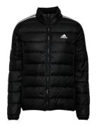 Essentials Down Jacket Vuorillinen Takki Topattu Takki Black Adidas Sp...