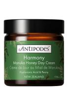 Harmony Manuka H Y Day Cream Päivävoide Kasvovoide Nude Antipodes