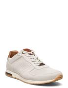 Trilogy Matalavartiset Sneakerit Tennarit Cream Dune London